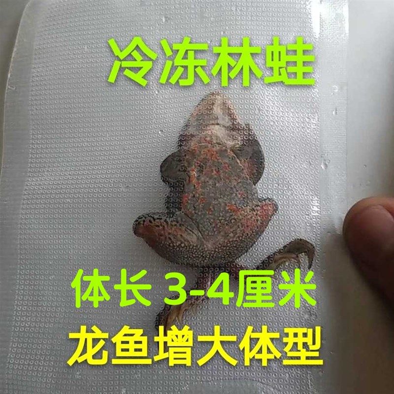 工厂销去内脏冷冻林蛙,一包一z只,包邮顺丰龙鱼虎鱼雷龙鳄龟肉食