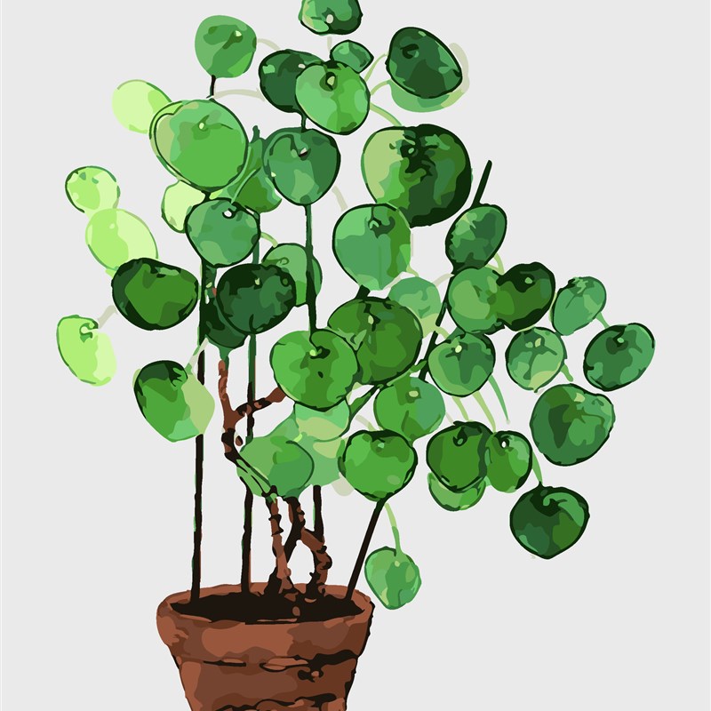 直供diy数字油画现代简约北欧植物花卉龟背树叶手绘装饰画图片