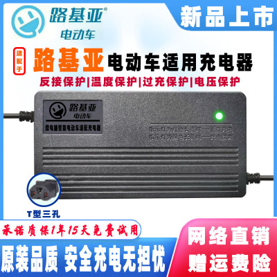 网红路基亚电动车电瓶智能充电器48V12AH60V20AH72伏32AH96V108伏