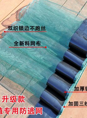 小龙虾养殖防逃网k牛蛙甲鱼螃蟹鱼虾池塘专用围网加厚防逃膜支撑