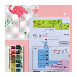 现货2023吴在望生物化学生化九大代谢串联L全图+百日手帐计划表配