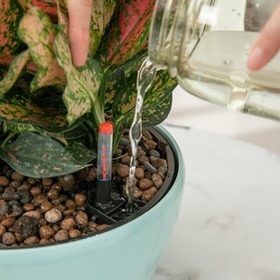 DIY自动吸水花盆大口径创意组合多肉绿萝仿陶瓷塑料蓄水懒人花盆