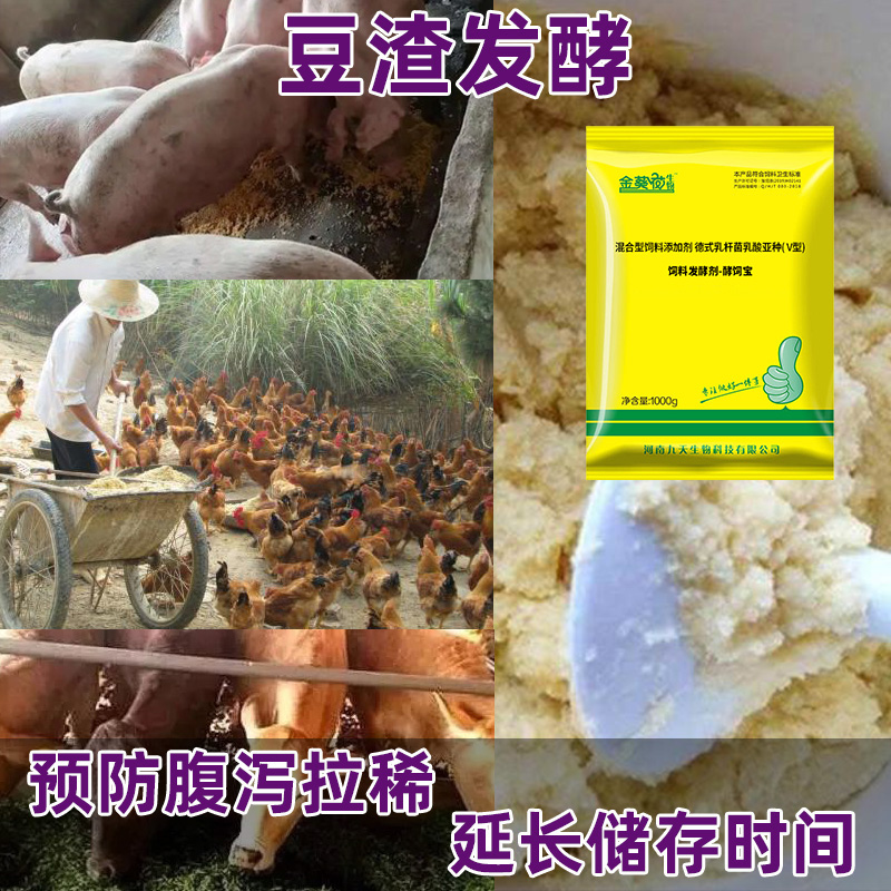 豆渣发酵剂秸秆潲水鸡粪豆腐渣专用酒糟猪饲料发酵剂养殖发酵菌种