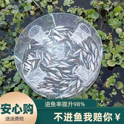 鱼虾网捉捕麦穗鱼虾黄鳝泥鳅龙虾笼子网小鱼渔网捞神器只进不出笼