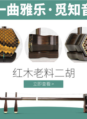 珍音坊红木二胡乐器成人儿童初学者E专业演奏大音量黑檀龙头二胡