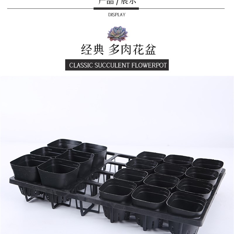 多肉花盆肉肉种植方盆 多肉小黑方杯托架 育苗盆塑料小黑方花盆