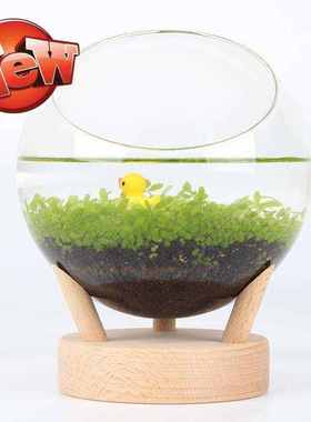 小型客厅桌面迷a你q生态真水草玻璃鱼缸水族箱草缸装饰造景
