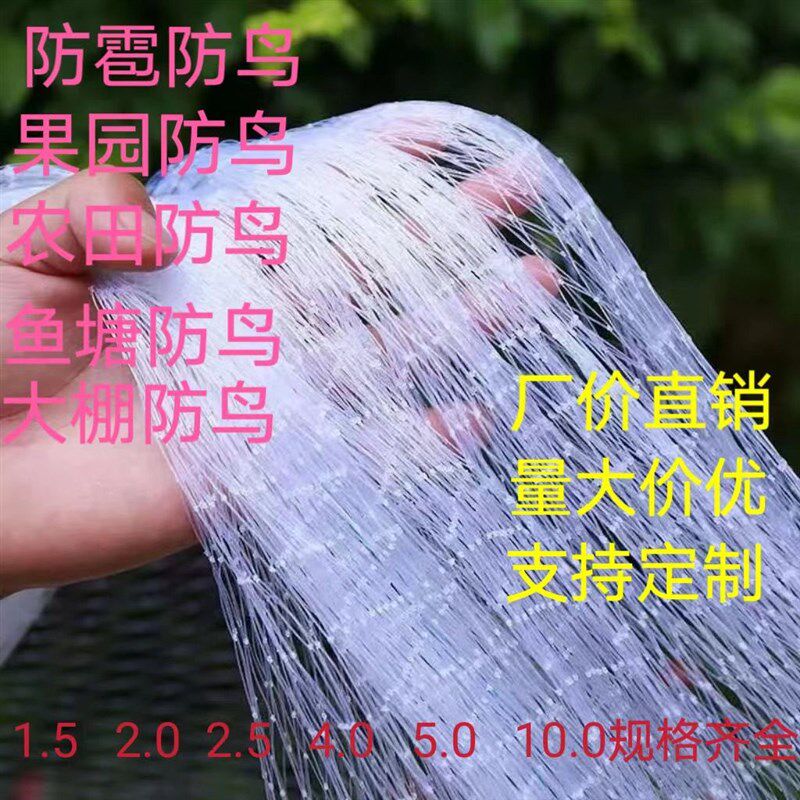 小众高货大棚防鸟果树尼龙樱桃葡萄梨树防鸟网果园防护网鱼塘养殖