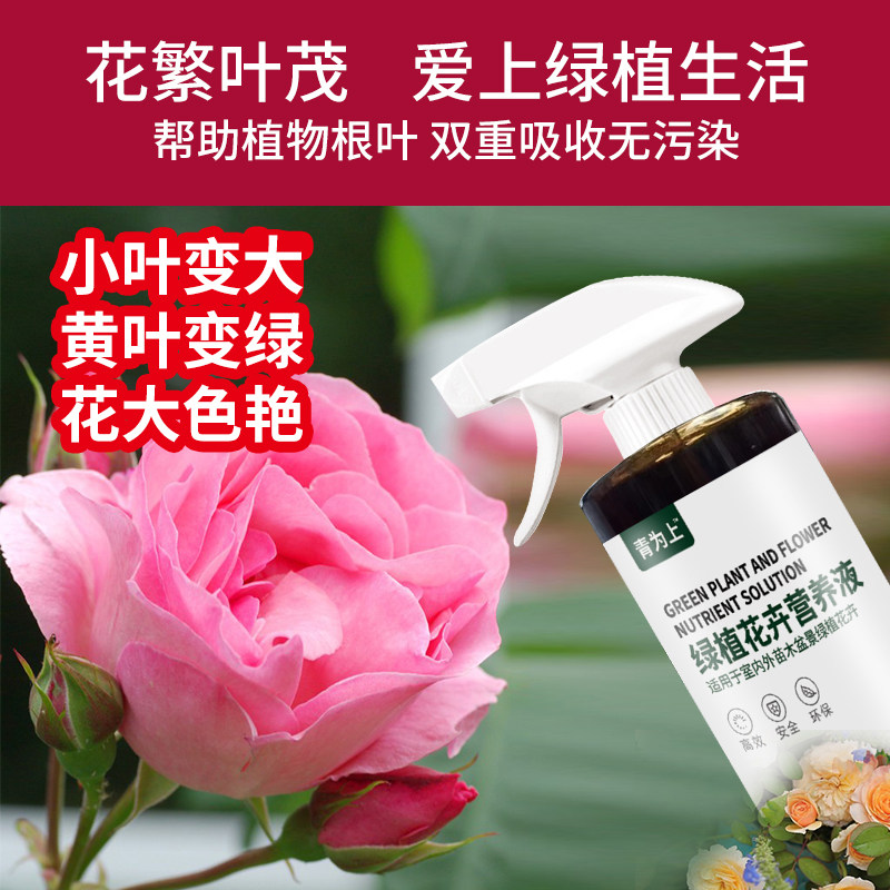 【青为上叶苏】植物营r养液通用花卉绿植养花观赏发财树叶黄变绿