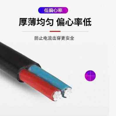 急速发货厂销爆品2芯铝芯家用户外电缆线电b线4 6 10 16 25平方双