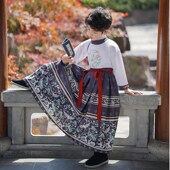 超仙中国风马面裙男 演出服唐装 新款 春秋汉服男童儿童国学少爷古装