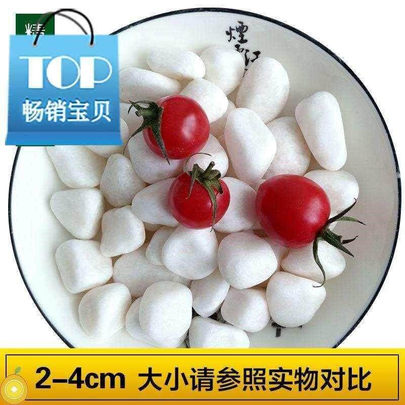 小众高货新薪r品5斤小白石子多肉装饰石子花盆铺面石子园艺水培鱼