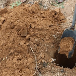 打洞 施工洛阳铲 修路 可接木杆洛阳铲搭棚建筑工具挖电线杆