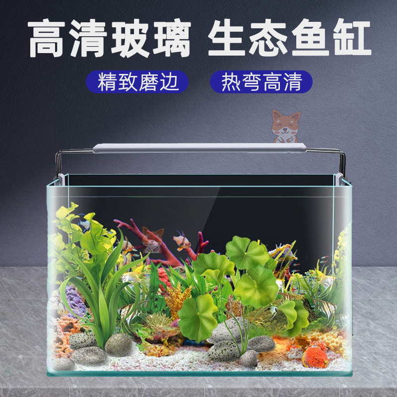 新品热弯玻璃高清鱼缸家用创意小型客厅水族N箱桌面造景生态超白