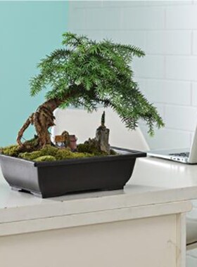 1PC Plastic Flower Pots Rectangle Vase Succulent Plant Pot B