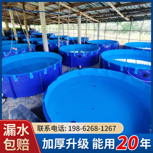 圆形帆布鱼池水池折叠暂养池锦鲤大型虾水箱养殖水池家用塑料支架