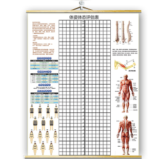 现货体态评估表瑜伽健身私教体位姿势体测表身体评估表免费加LOGO