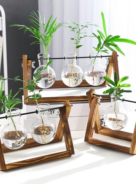 创意烧杯水培木架容器绿萝植物玻璃花瓶办公室桌面摆件插花瓶现货