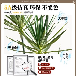 现货速发仿真绿植龙舌兰植物轻奢假花室内大型落地盆栽门店装 饰景