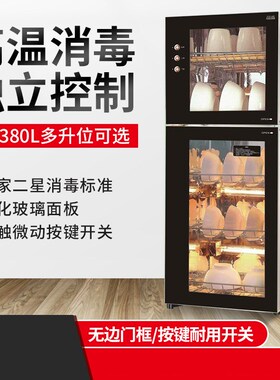 双门立式消毒碗柜红外线高温烘干125º家用厨房餐具碗筷消毒柜