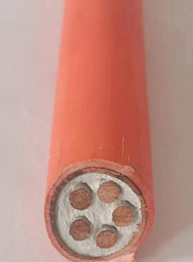 国标BTTRZ矿物质绝缘防火电缆YTTW铜芯BTLY隔离BBTRZ消防BTTZ电线