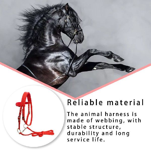 推荐Animal Bridle Thickened Headstall Adjustable Harness Hea