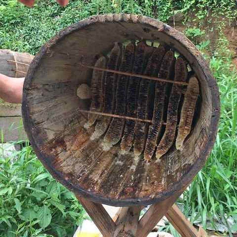 养蜂箱标准蜂箱蜜蜂巢础蜜蜂用具土蜂G箱养蜂蜂箱养蜜蜂的蜂箱老