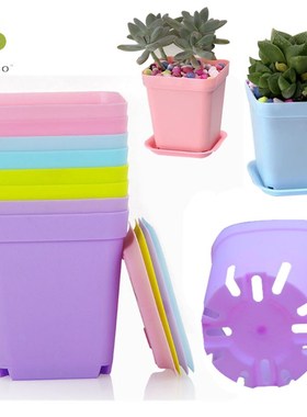 20pcs Mini Flower Planter Flower Pots for Succulent Plants S