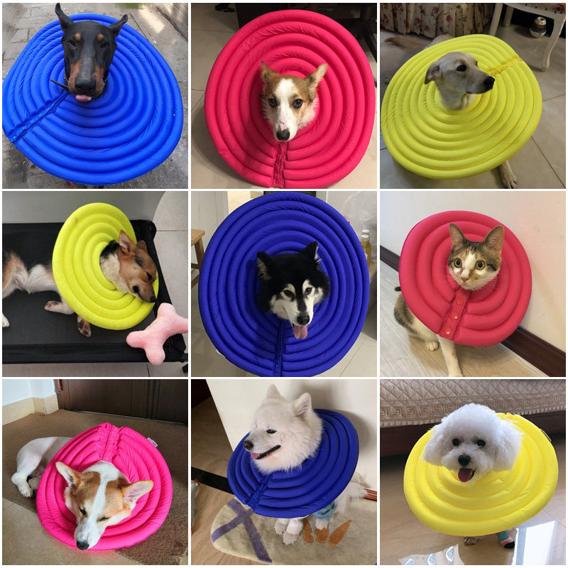 新品伊丽莎白圈软大型犬防舔头套狗项圈宠物防咬圈猫Y咪耻辱狗狗