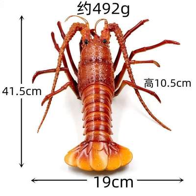 厂家仿真大号龙虾模型澳洲波士顿海洋生物饭厅P直播装饰品摄影儿