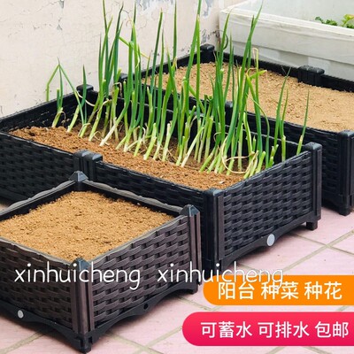 速发阳台庭院塑料种植箱菜盆养花种菜神器园艺大口径种植盆花箱特