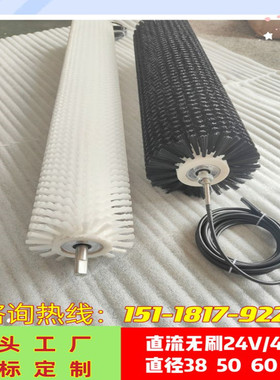 毛刷电动滚筒f工业清洗除尘器尼龙丝钢丝内置24V/48V电机耐磨辊轴