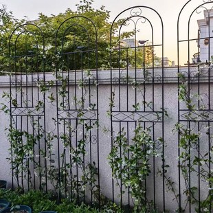 铁线莲爬藤架蔷薇月季 种植花园栅栏户外花架支撑杆铁艺植物攀爬架