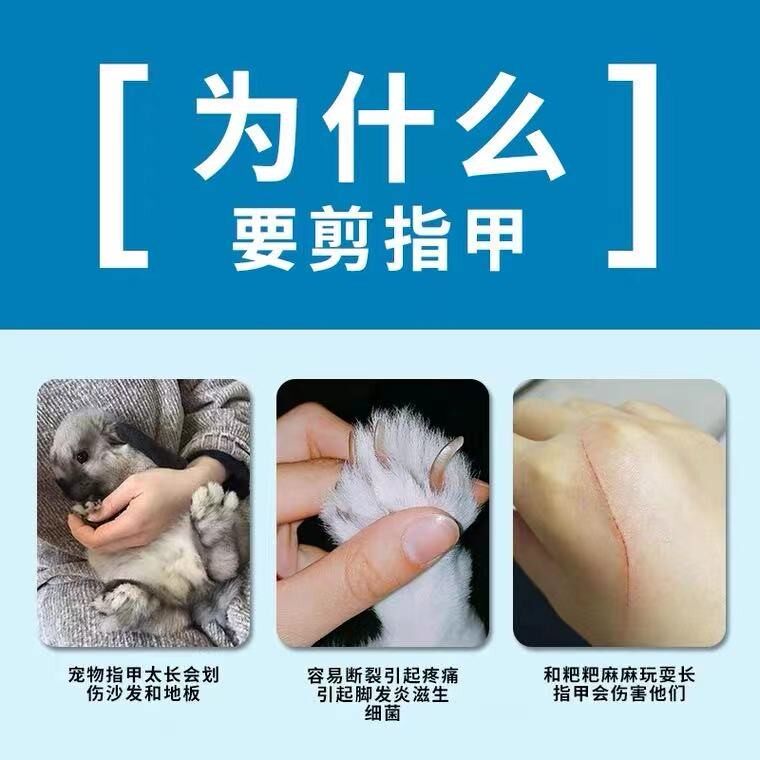 兔兔用品 猫狗小宠专用指甲剪 宠物兔指甲刀方便安全垂耳兔指甲剪