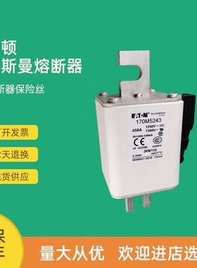 全新快速熔断器保险170M5209 170M5210 170M5211 170M5212