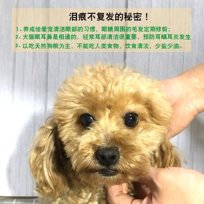 狗狗去泪痕神器台湾贵宾犬凯x帝洛泪痕液猫咪泪痕消口服液比熊用