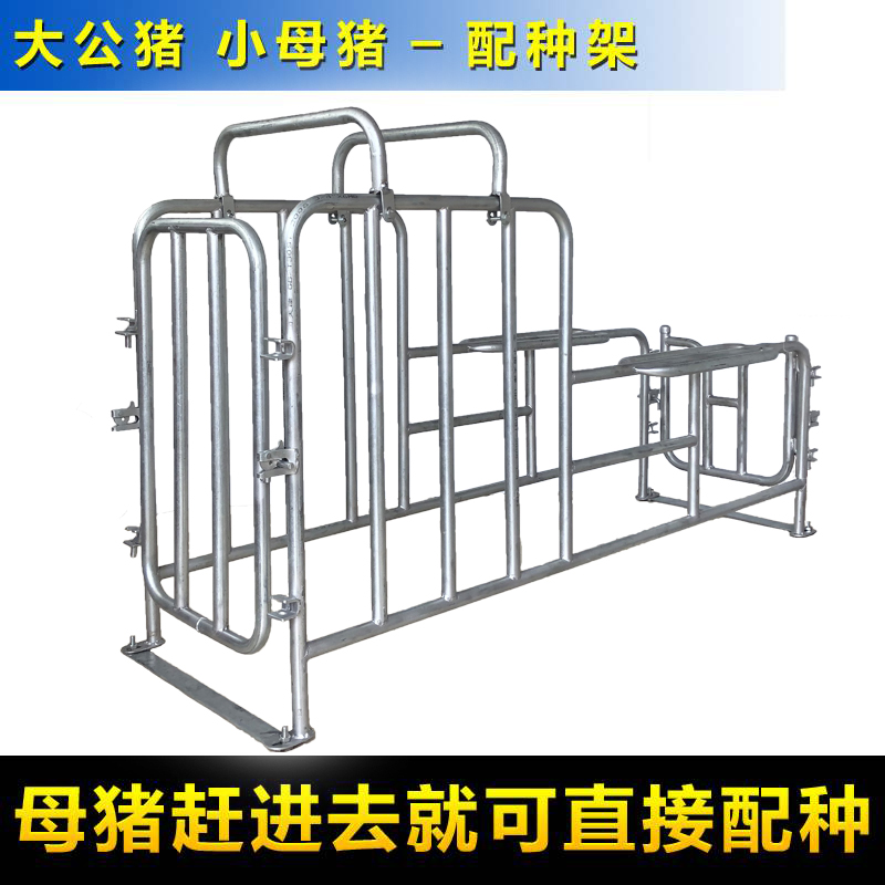 速发母猪配种架爬猪架假母台小母猪配种设备采精架猪用配种器配猪