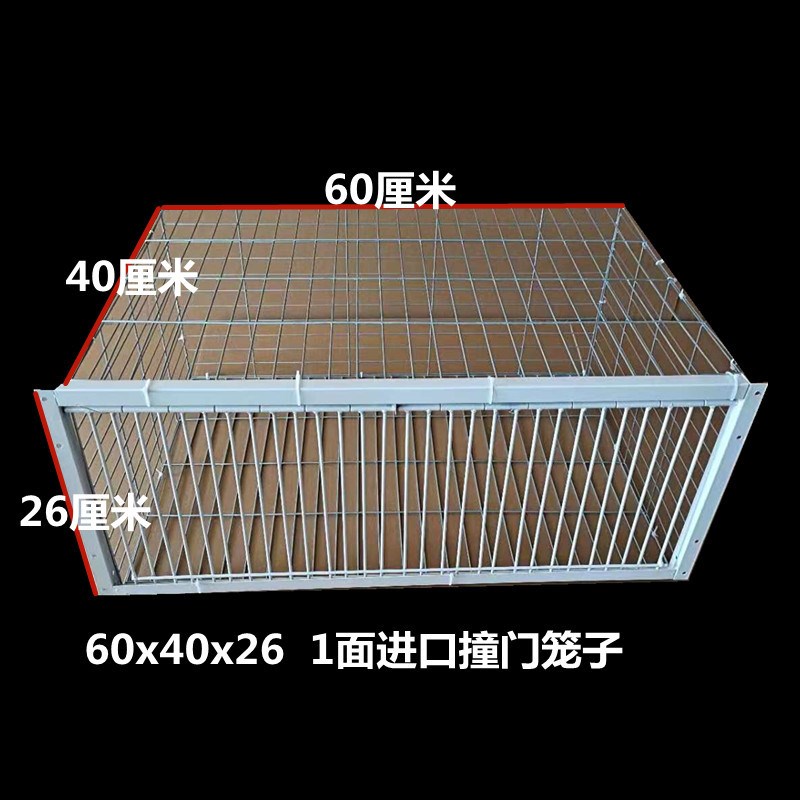 现货天落笼加密只进不出鸽子笼自动捕鸡网雀鸟笼活络撞门笼收