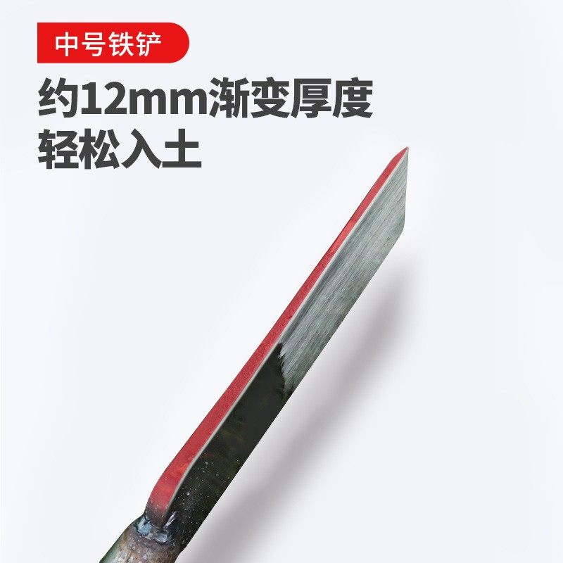 全钢挖树铲起苗移树加厚洛阳铲木柄铁锹打洞挖坑探铲园林工具,农机/农具/农膜,铲子,淘宝优惠券,粉丝福利购,淘宝优惠卷