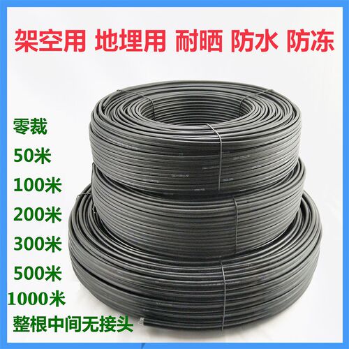 国标架空铝芯电线双股2芯4 6 v10 16 25 35平方防老化家用电缆铝