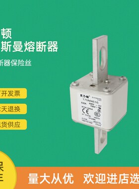 全新快速熔断器保险170M4658 170M4659 170M4660 170M4661
