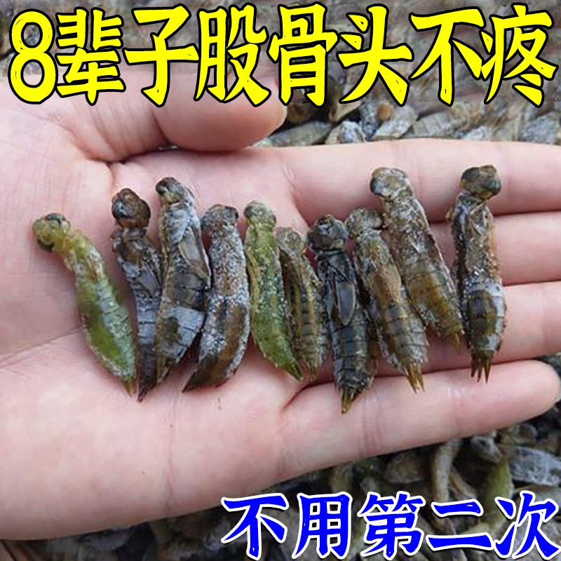 热销999%冶坏死】股骨头髋关节疼痛缺血坏死肿胀疼痛股骨头坏死专
