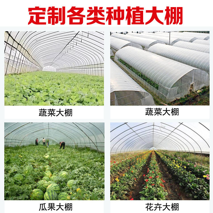 养殖大棚全套养鸡鸭鹅猪牛羊大棚配件用品种植温室大棚钢管骨架