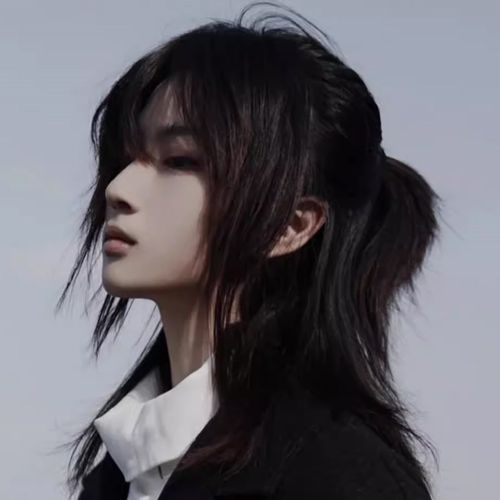 狼尾鲻鱼头假发男生短发日系半扎武士头造型男士式自然仿真全头套