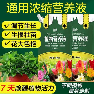 营养液植物通用型室内盆栽植物养花绿萝富贵竹发财树多肉花肥水培