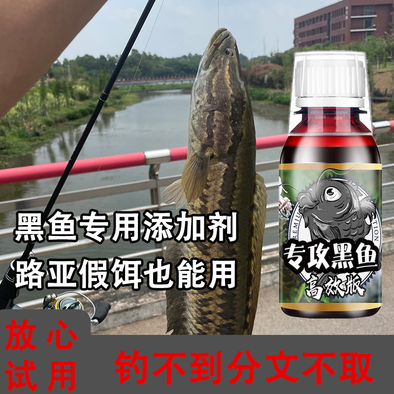 现货黑鱼小药专钓泡路亚假饵雷蛙打黑G专用饵料添加剂大乌鳢开口