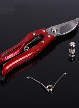 园艺剪刀 修枝剪 采果剪整枝剪嫁接剪摘果剪果树剪摘果剪园林工具