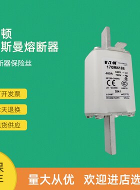 全新快速熔断器保险170M4108 170M4109 170M4110 170M4111