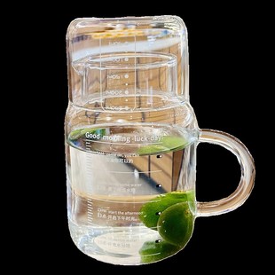 杯子女新款2024高硼硅玻璃杯带盖带把手耐高温办公室家用喝水杯