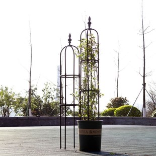 园艺绿植爬藤架室内盆栽绿萝攀爬架庭院植物U型包塑钢管玫瑰花架